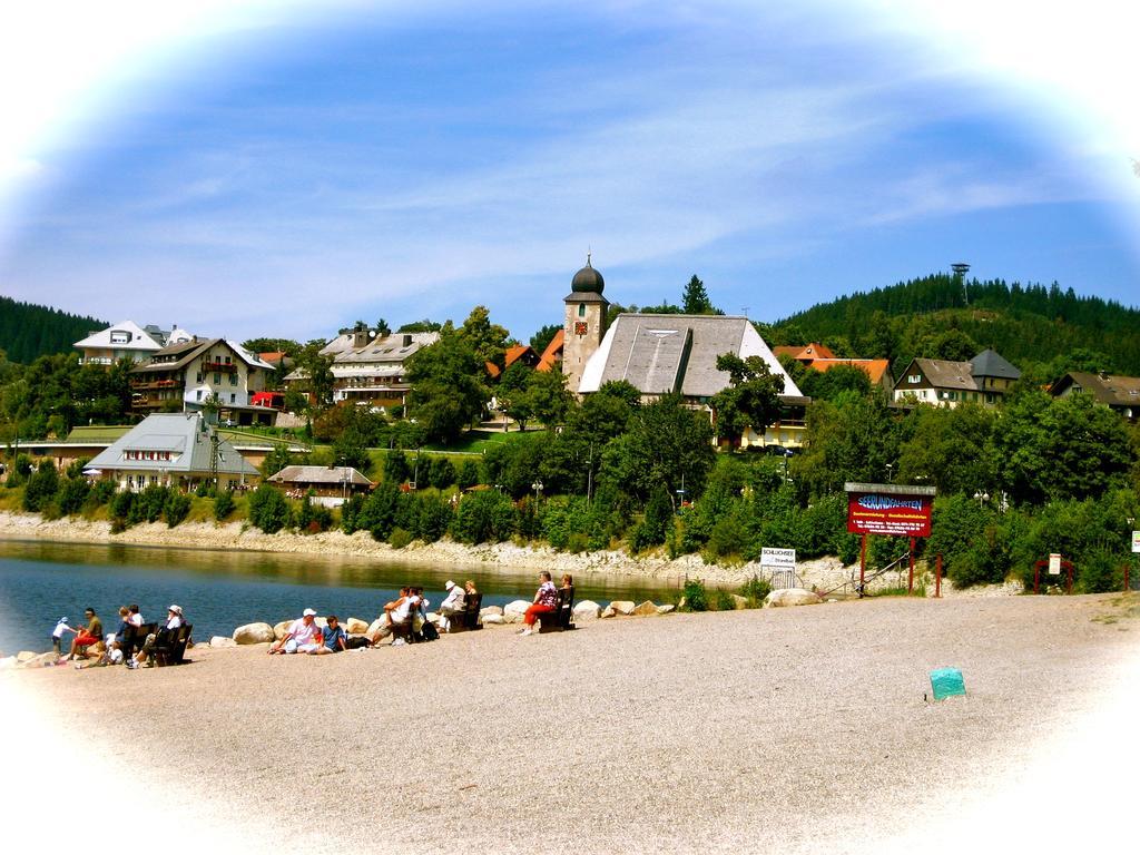 Ferienwohnung Endlich Ferien Waldshut-Tiengen Eksteriør bilde